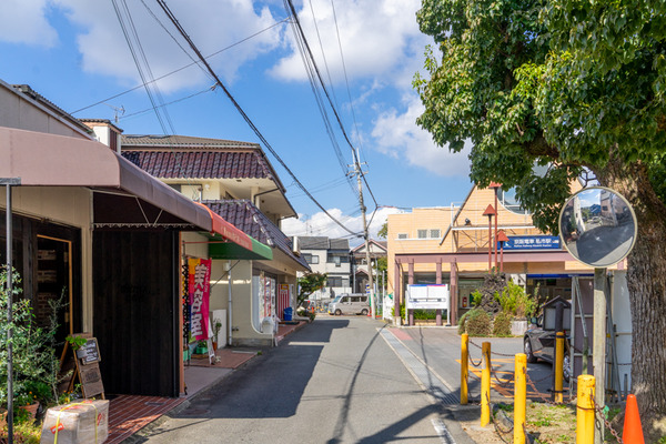 iroha-2010146