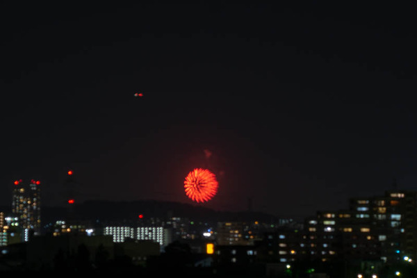花火-1905292