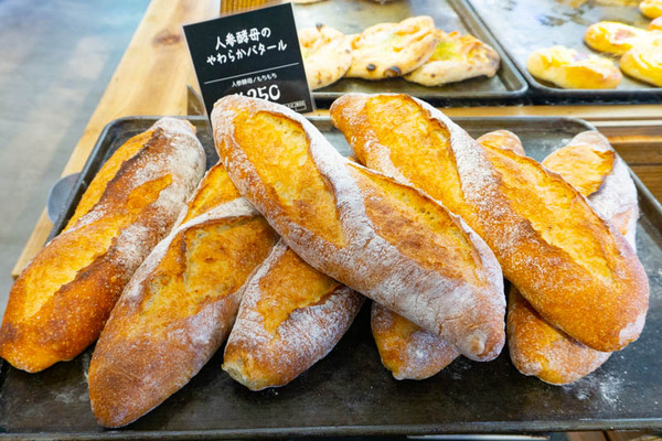 rbaker_通常_小-20210331-22