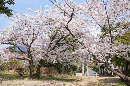 百済寺跡-3