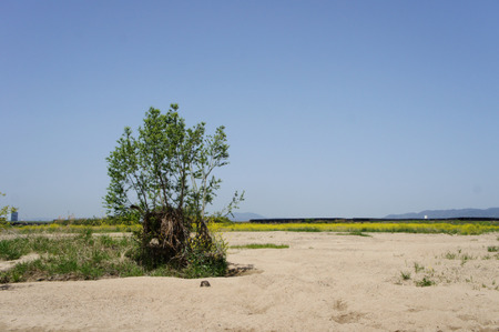 120428DSC00045