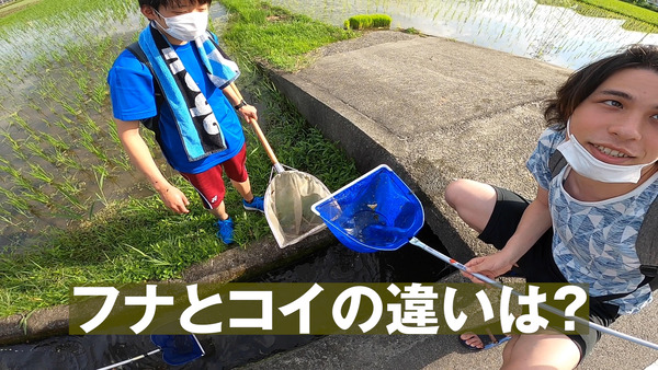 GH010049.00_04_51_38.静止画004