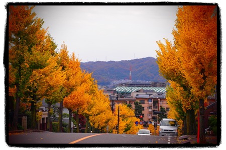121124_ころんmama_03