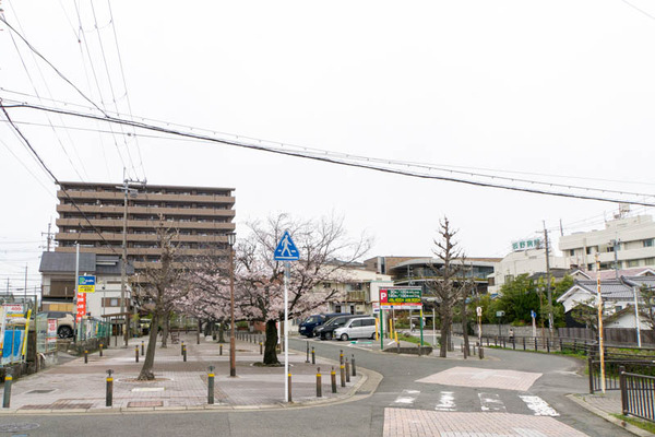 はぴんす-2003305