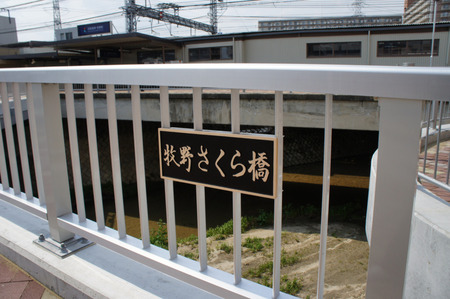 120411DSC08258