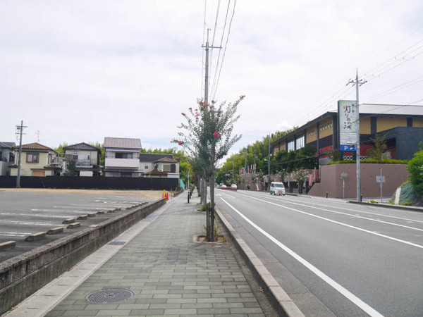 しゃぶ葉-2009149