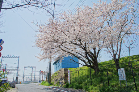120412DSC09219a