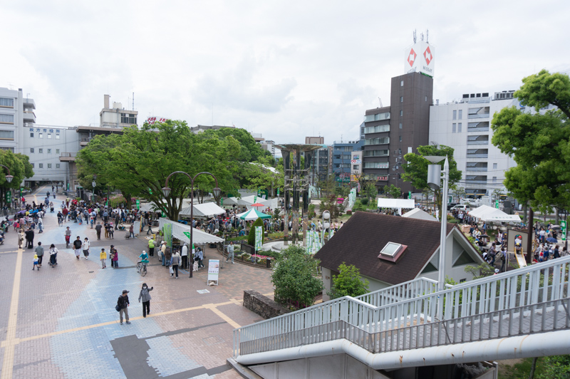 緑化フェスティバル-150429-15