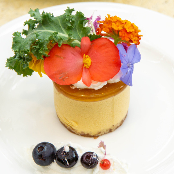 ケーキ3-2008071-2