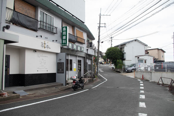 パンプキン-2006223