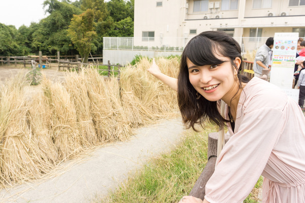 なかなかの森-63