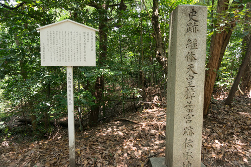 涼-42