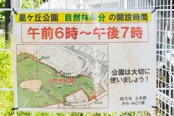 星ヶ丘公園-1910092