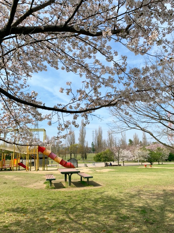 9B9804EA-A7A7-4A2D-B384-FC67AAFBAD93