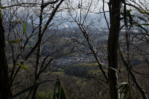 山-15040230