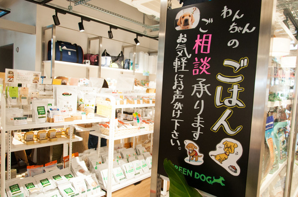 greendog-105