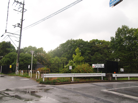 P5298522