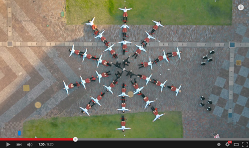 okgo04