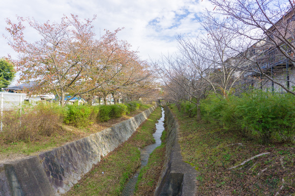 星山のくらし-2011053
