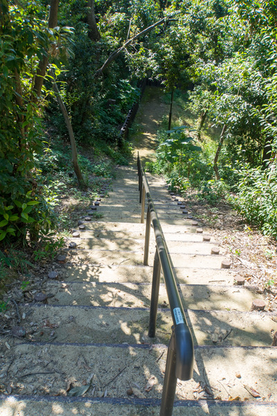 星ヶ丘公園-19100916