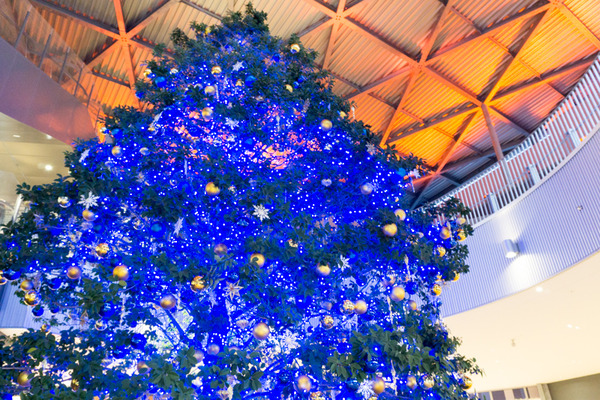 ニトリモール枚方 クリスマスプレゼント-74