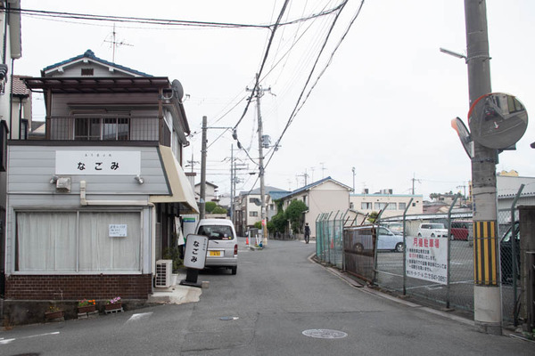 ローズ-2005181
