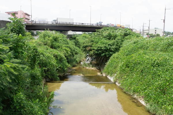 穂谷川-1908221-7