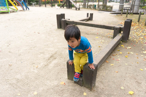 すい公園-16112015