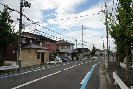 fiorire20120815165832