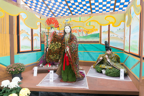 菊花展-14103131