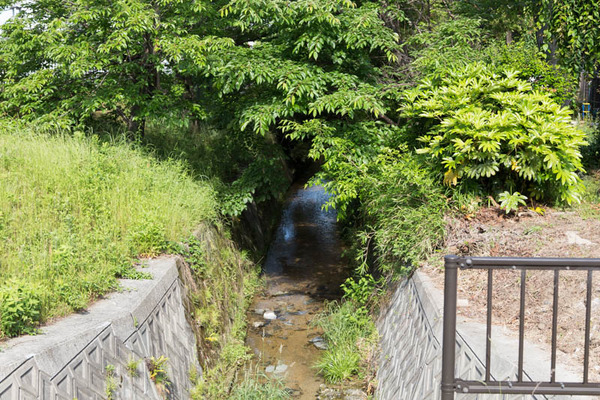 ハウス匠建交野-1805212