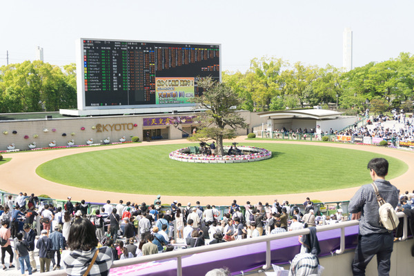 競馬-16
