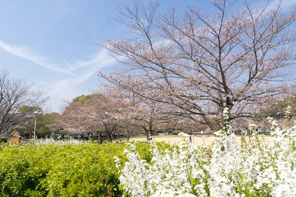 欽明公園-1803261