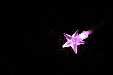20101216DSC02123