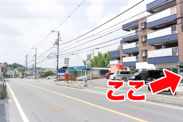 尊延寺-アンズ-25