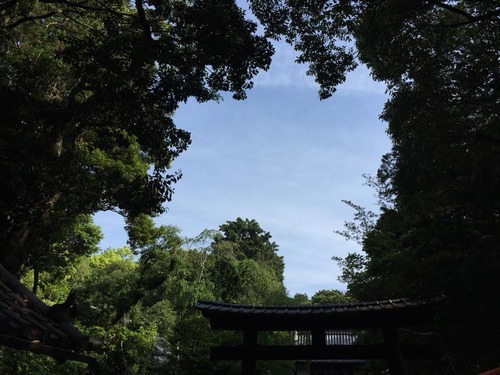 asaiku