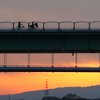 20110517ohashi1