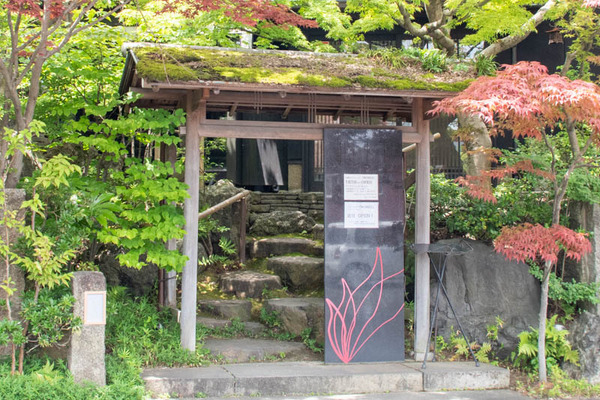 もみじ-2006261-3