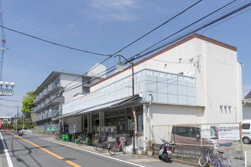 おんわ整骨院-15042206