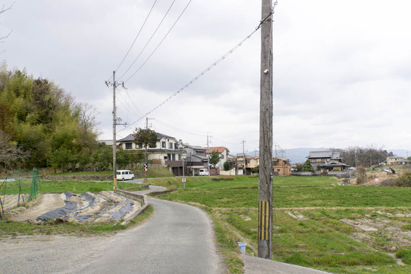 長尾杉線-1903145