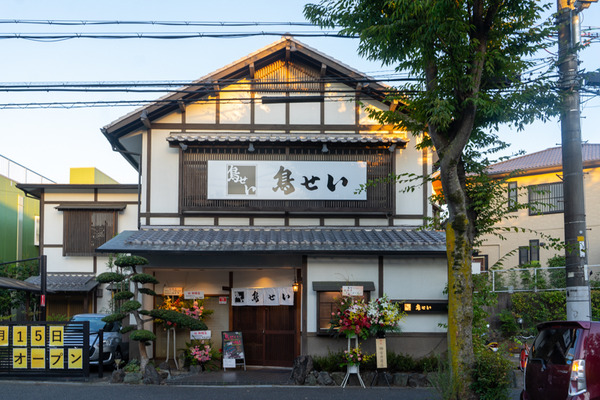 鳥せい-2009155