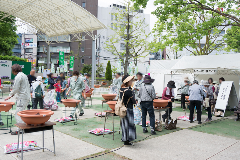 緑化フェス9