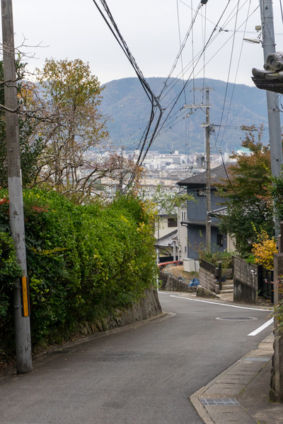 東海道-19111833