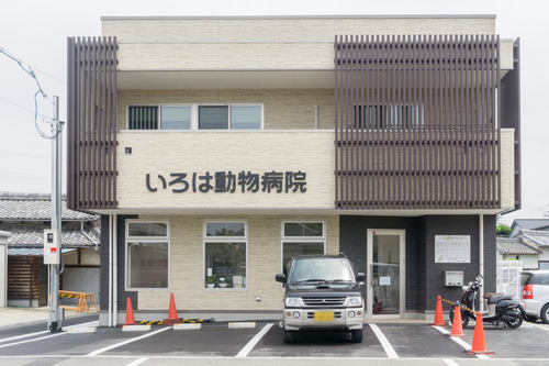 いろは動物病院-15061204