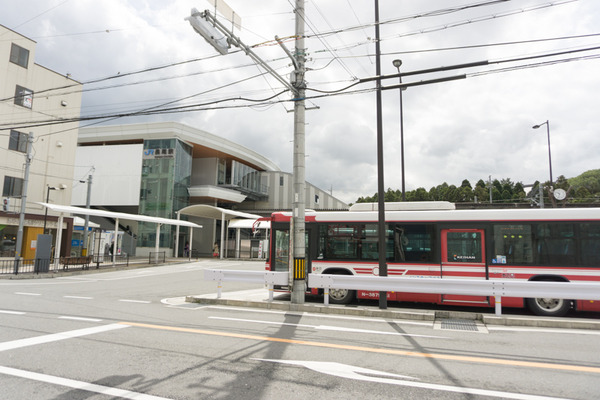 長尾-1