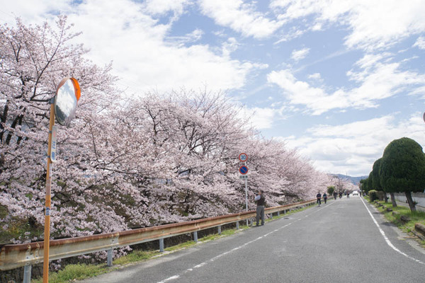 村野-1604021