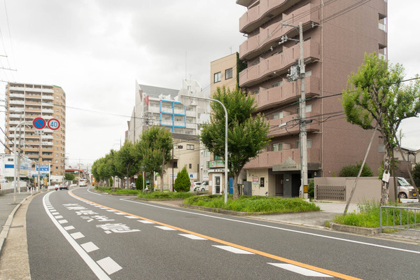 ハウズィ-1907181