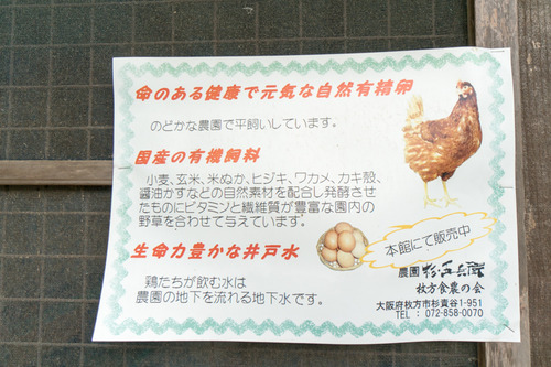 杉五兵衛-15061262