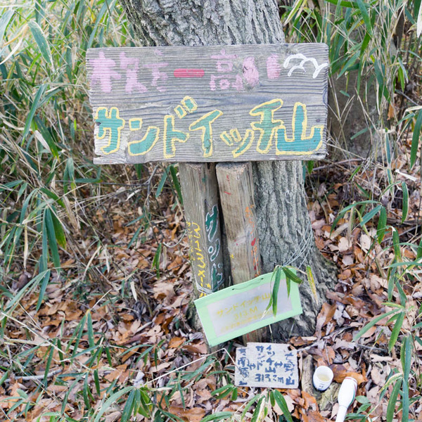 サンドイッチ山-19011616