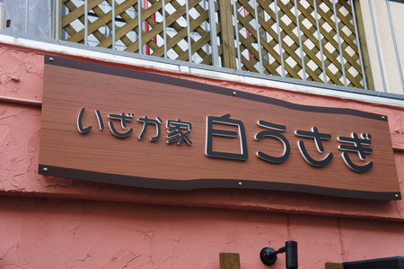 121006白うさぎ02